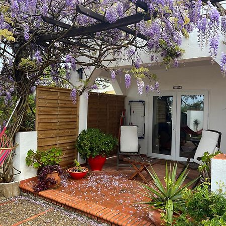 Arriba Stijlvol Appartement Met Zwembad En Tuin コニル・デ・ラ・フロンテラ エクステリア 写真
