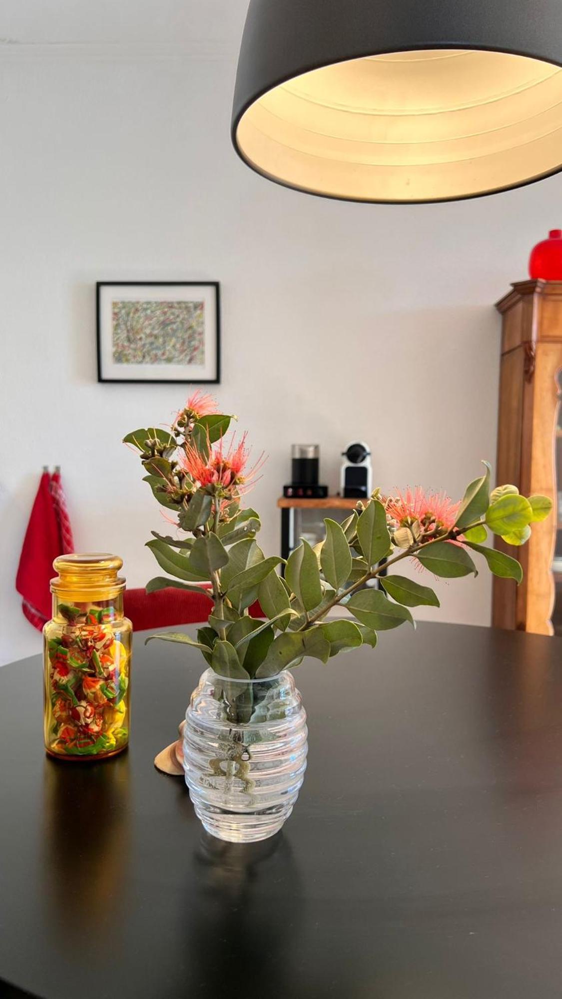 Arriba Stijlvol Appartement Met Zwembad En Tuin コニル・デ・ラ・フロンテラ エクステリア 写真